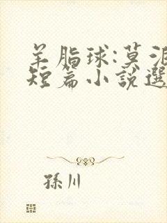 羊脂球:莫泊桑短篇小说选第二部 羊脂球:莫泊桑短篇小说选第二部