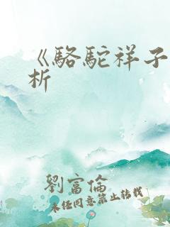 《骆驼祥子》赏析