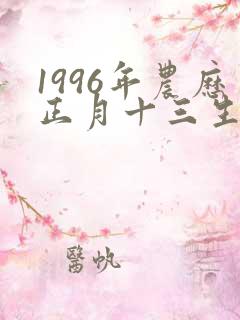 1996年农历正月十三生辰八字