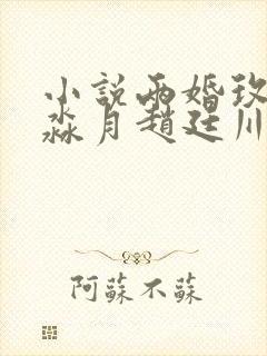 小说两婚玫瑰林淼月赵廷川在线阅读 小说两婚玫瑰林淼月赵廷川在线阅读