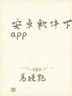 安卓软件下载的app