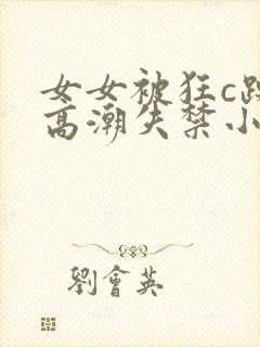 女女被狂c躁到高潮失禁小说