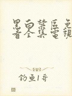 黑白禁区免费观看全集电视剧结