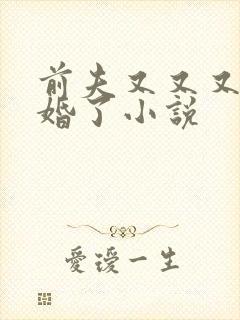 前夫又又又想复婚了小说
