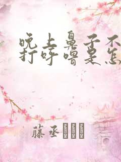 晚上鼻子不通气打呼噜是怎么回事