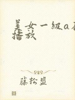 美女一级a在线播放