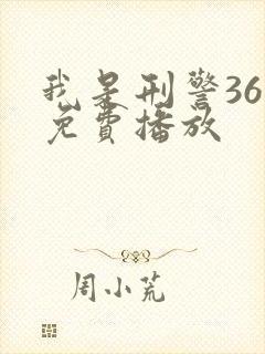 我是刑警36集免费播放