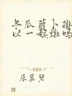 冬瓜萝卜排骨可以一起炖吗