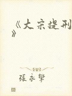 《大宋提刑官1》