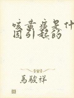 咳黄痰是什么原因引起的