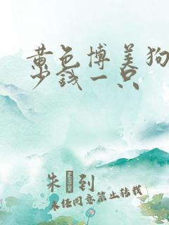 黄色博美狗狗多少钱一只