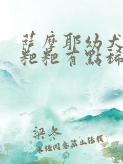 萨摩耶幼犬拉的粑粑有点稀怎么回事 萨摩耶幼犬拉的粑粑有点稀怎么回事