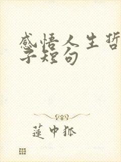 感悟人生哲理句子短句 感悟人生哲理句子短句