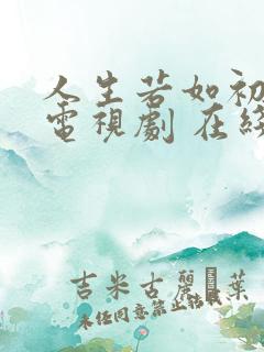 人生若如初见 电视剧 在线