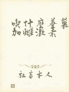 吃什么养巢,增加雌激素