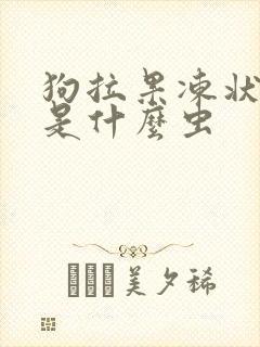狗拉果冻状大便是什么虫
