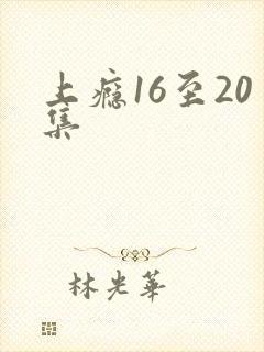 上瘾16至20集