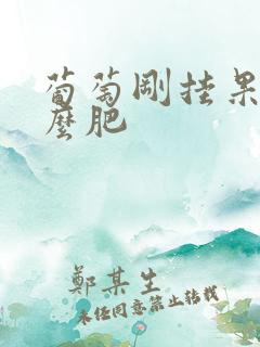 葡萄刚挂果施什么肥