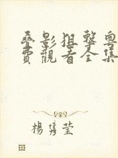 叠影狙击粤语免费观看全集
