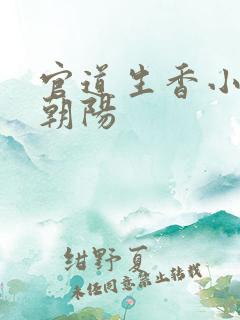 官道生香小说林朝阳 官道生香小说林朝阳