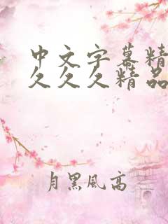 中文字幕精品久久久久精品