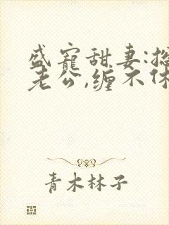盛宠甜妻:总裁老公,缠不休