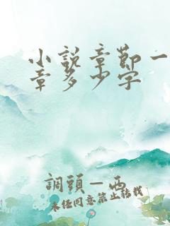 小说章节一般一章多少字 小说章节一般一章多少字