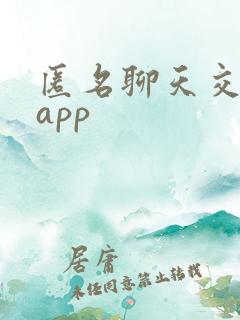 匿名聊天交友的app