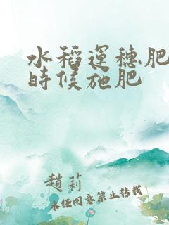 水稻运穗肥什么时候施肥 水稻运穗肥什么时候施肥