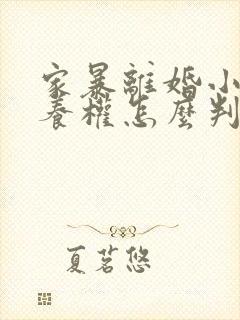 家暴离婚小孩抚养权怎么判