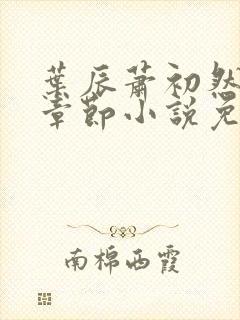 叶辰萧初然最新章节小说免费阅读
