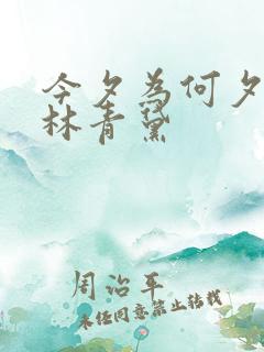今夕为何夕短剧林青黛