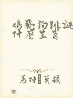鸡飞狗跳谜底是什么生肖 鸡飞狗跳谜底是什么生肖