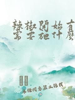 辣椒开始有花苞需要施什么肥