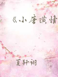《小唐璜情史