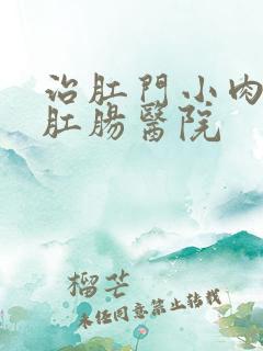 治肛门小肉球的肛肠医院