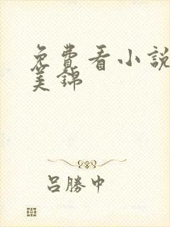 免费看小说良陈美锦