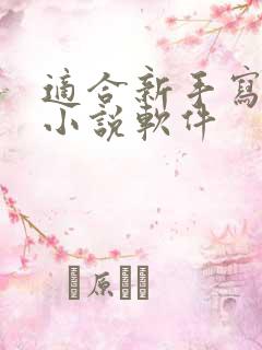 适合新手写作的小说软件