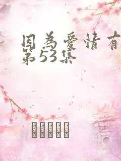 因为爱情有多美第53集