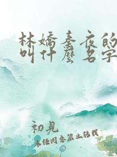 林娇秦夜的小说叫什么名字