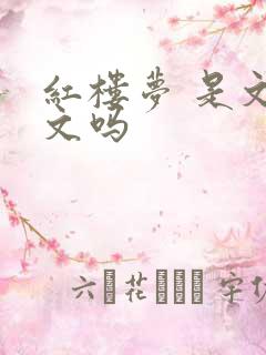 红楼梦 是文言文吗