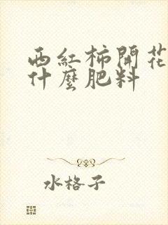 西红柿开花时施什么肥料