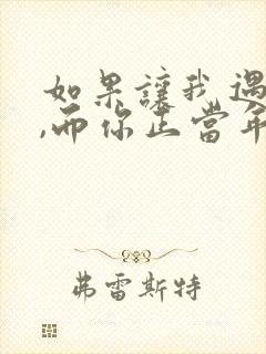 如果让我遇见你,而你正当年轻歌词