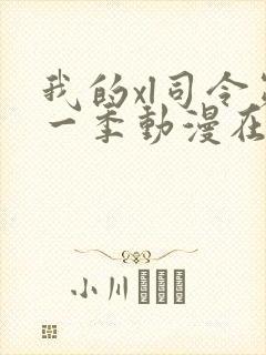 我的xl司令第一季动漫在线观看免费