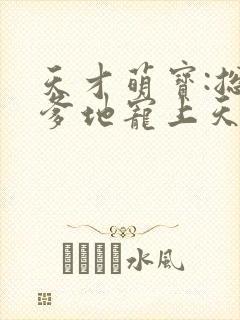 天才萌宝:总裁爹地宠上天
