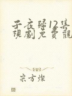子夜归12集电视剧免费观看全集高清 子夜归12集电视剧免费观看全集高清