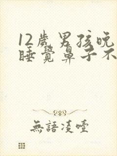 12岁男孩晚上睡觉鼻子不通气什么原因