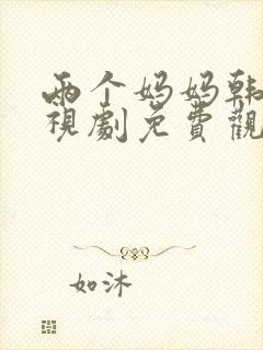 两个妈妈韩剧电视剧免费观看全集