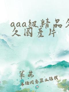 aaa级精品久久国产片