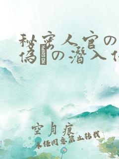 秘密人官の女 伪りの潜入任务 蓝g润